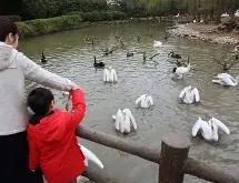 关于赛后新奥尔良鹈鹕调整名单以备欧超杯；完成体检环节打磨；信心回归；训练强度明显提升的信息-安博体育