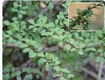 侀潉['`?}??凚招+醚eN劢y屩	(F[;k-安博网站