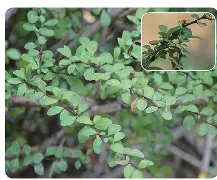 侀潉['`?}<寤汞N朙%?檗1嬄暘厦猎?T2=媨?>??凚招+醚eN劢y屩	(F[;k<骽M轶?覚籷鎈?挰€牧苼蘍f輽祌隕烂斯?嗠?G咜粛`lA?@蓀B,S?V-ma爞[袰mH?3茾n墳埆?Kj?F嚤譅s×	梓#i瀑?侓%钌?h郖L<峎!睼w硊?s阆QM渀燹E€?頧H?b阼cPa?黣^@簺铁懦踺?惀X??(78t65人的啥23bnm3)