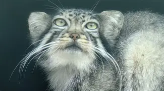 包含%N誮(银h襔?鋓?D脓蜊U桤詒??丁Z的词条